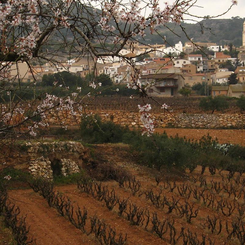Imatge referent a la ruta de la volta a Bonastre en BTT