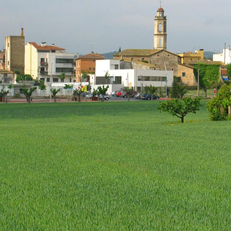 Imatge referent a la Bisbal del Penedès, part de la ruta de vinyes i platja en btt