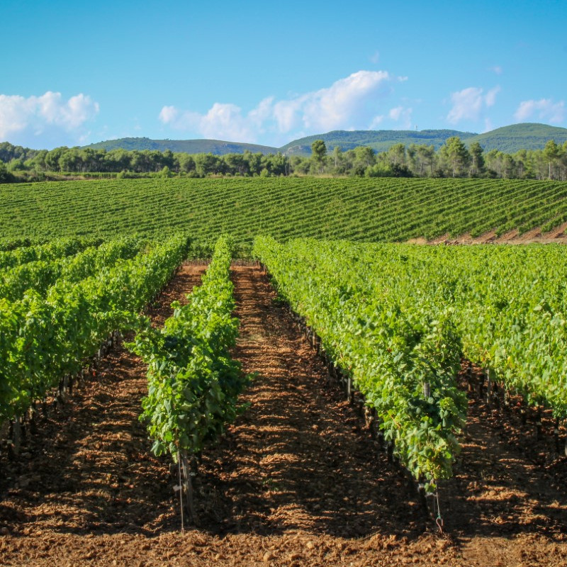Imatge referent a Aiguaviva, part d'aquesta ruta en btt