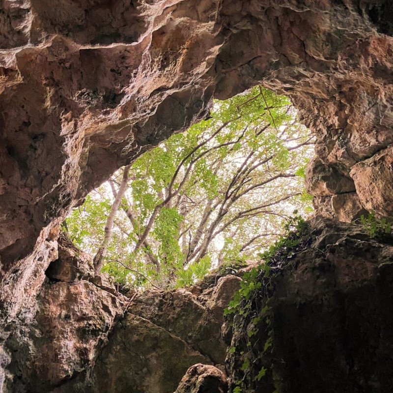 Imatge referent a la ruta fins la cova de l'Olla, al Montmell