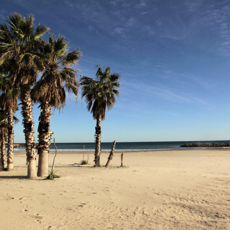Imatge referent a la platja de Cunit, part de la ruta de cunit