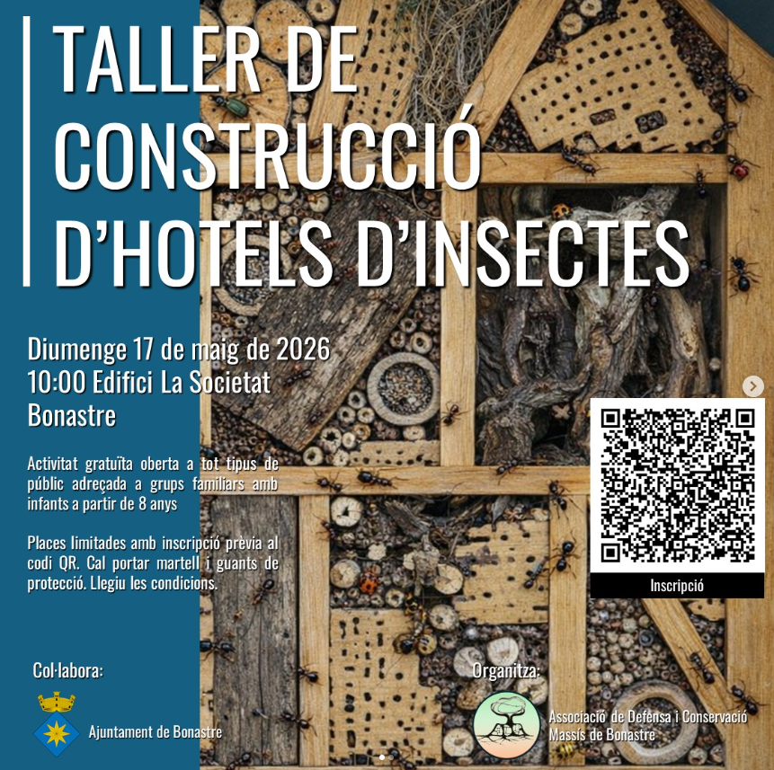 Cartell de l'activitat