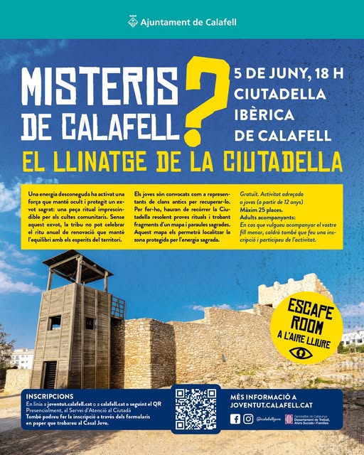 Cartell de l'activitat