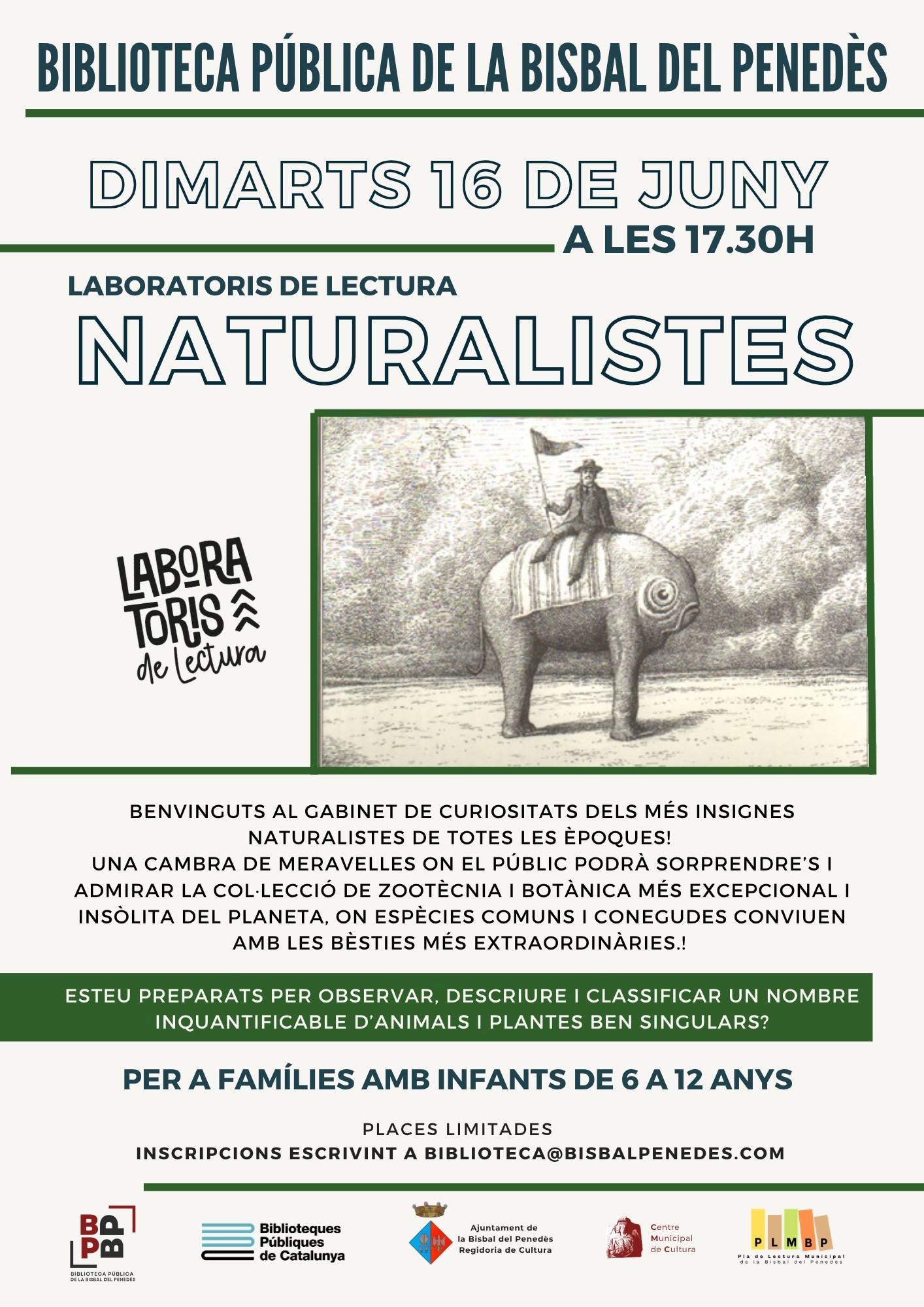 Cartell de l'activitat
