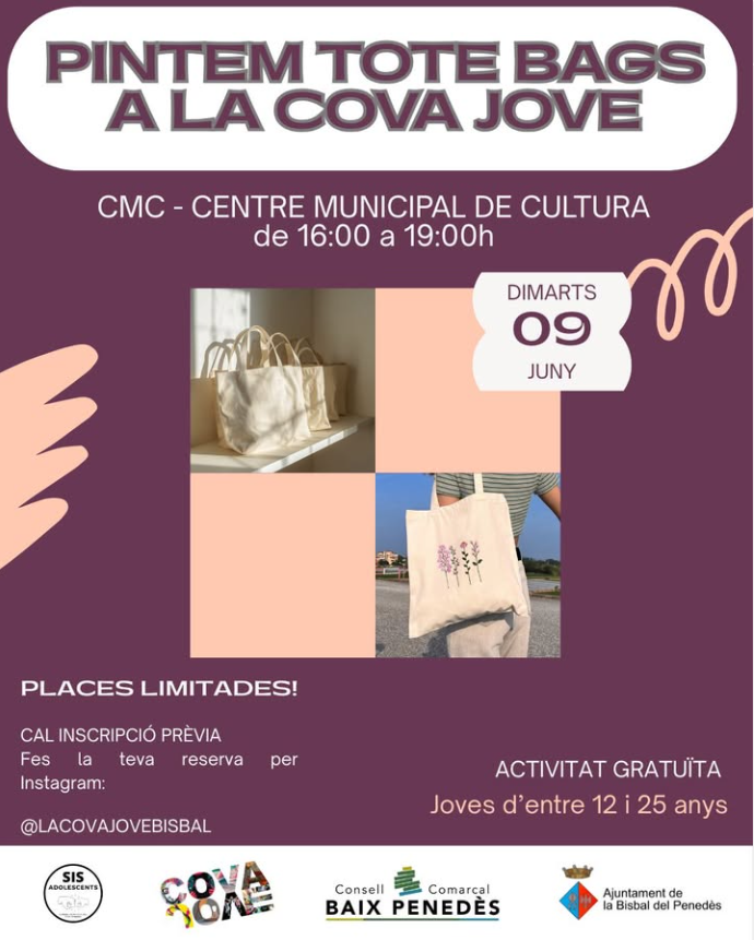 Cartell de l'activitat