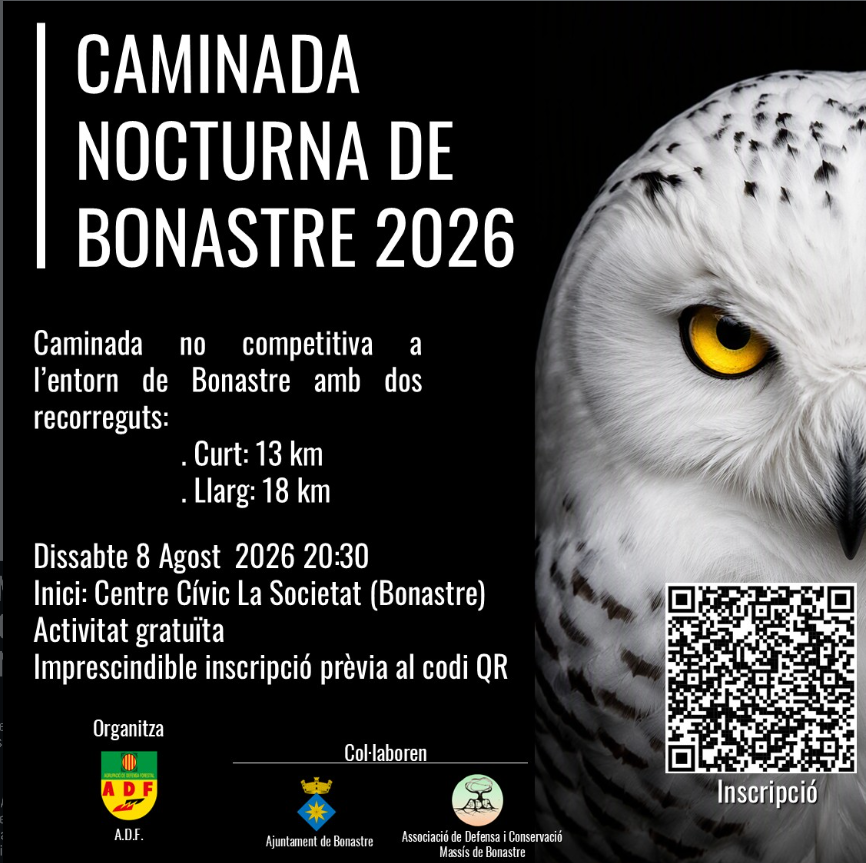 Cartell de l'activitat