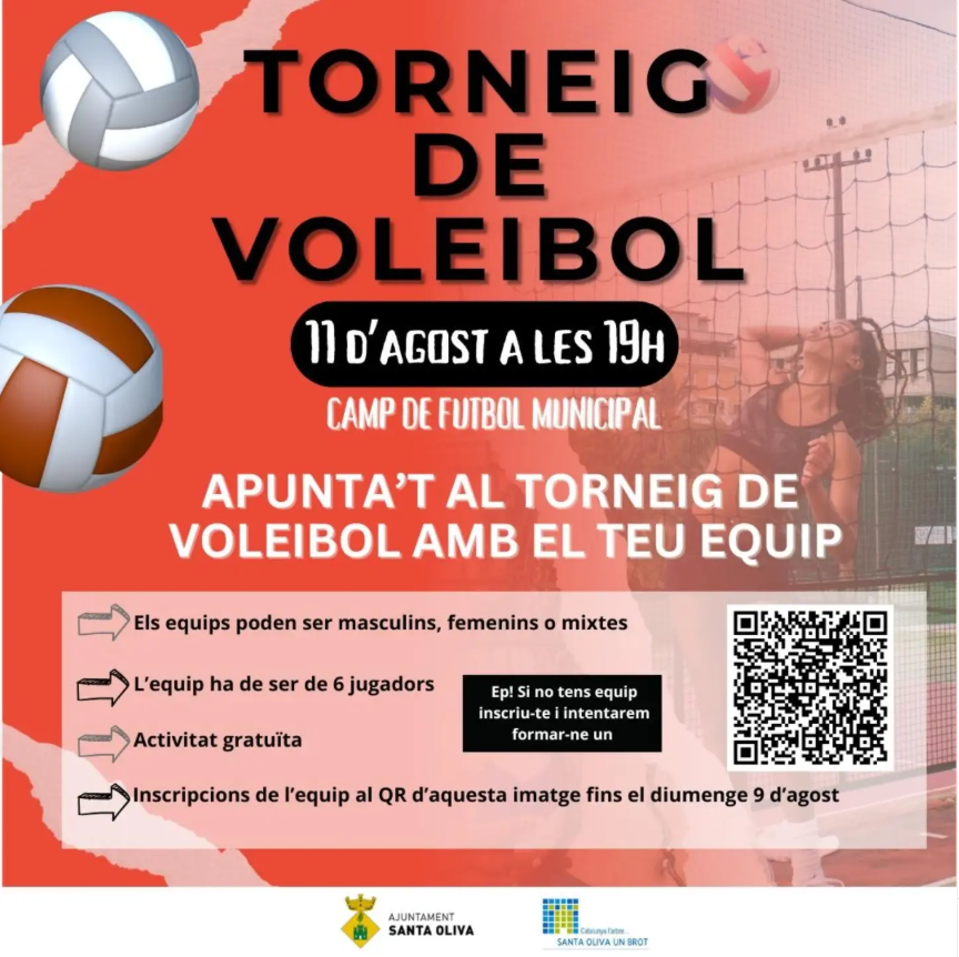 Cartell de l'activitat
