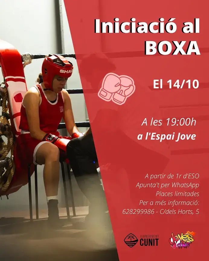 Cartell de l'activitat