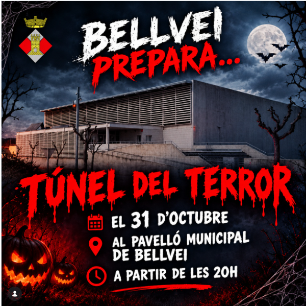 Cartell de l'activitat