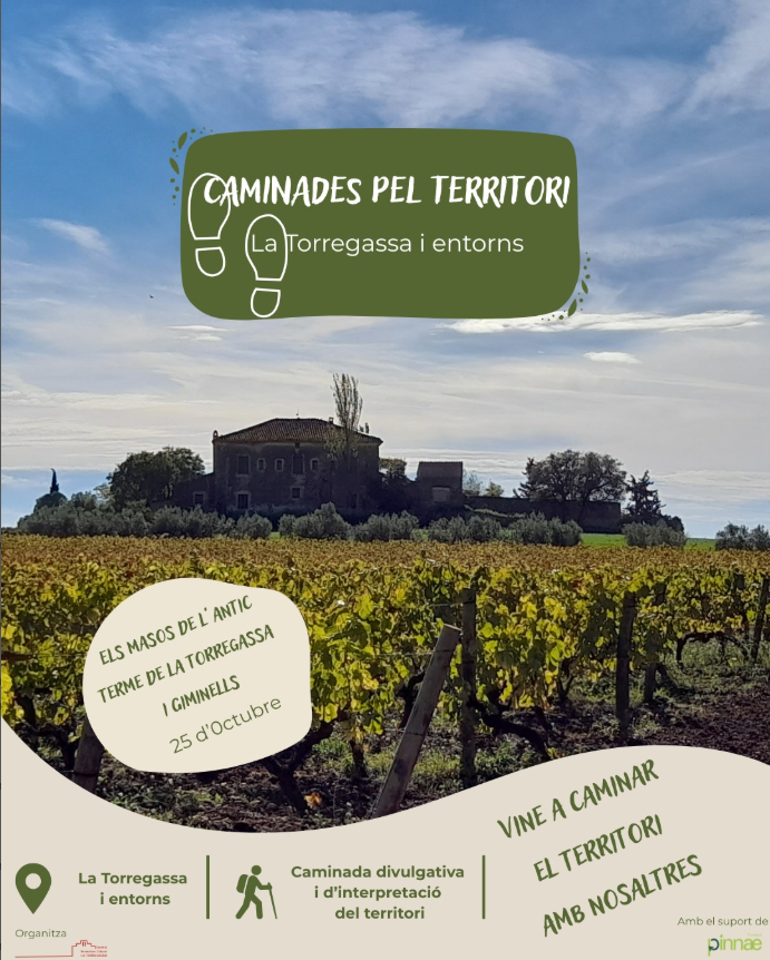 Cartell de l'activitat