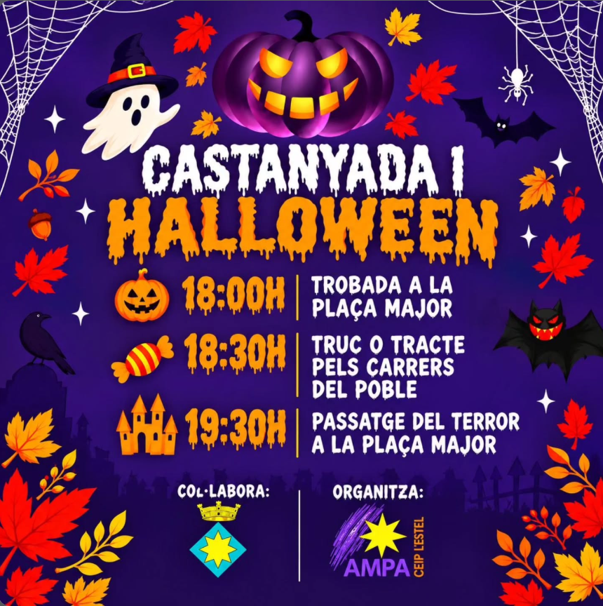 Cartell de l'activitat