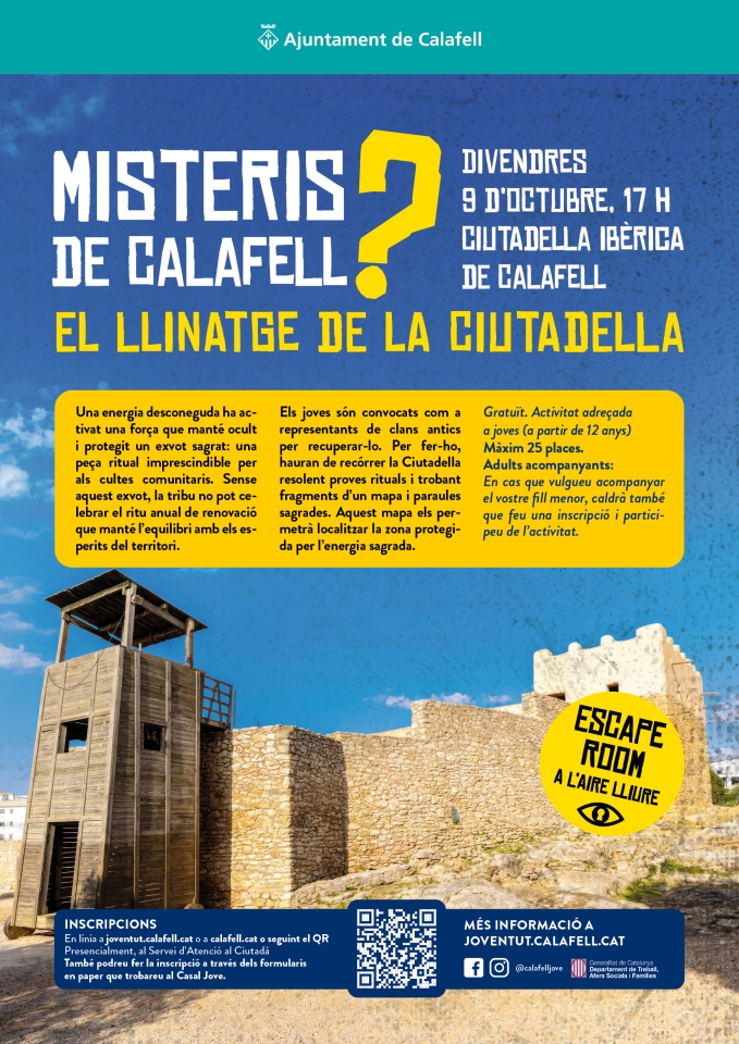 Cartell de l'activitat