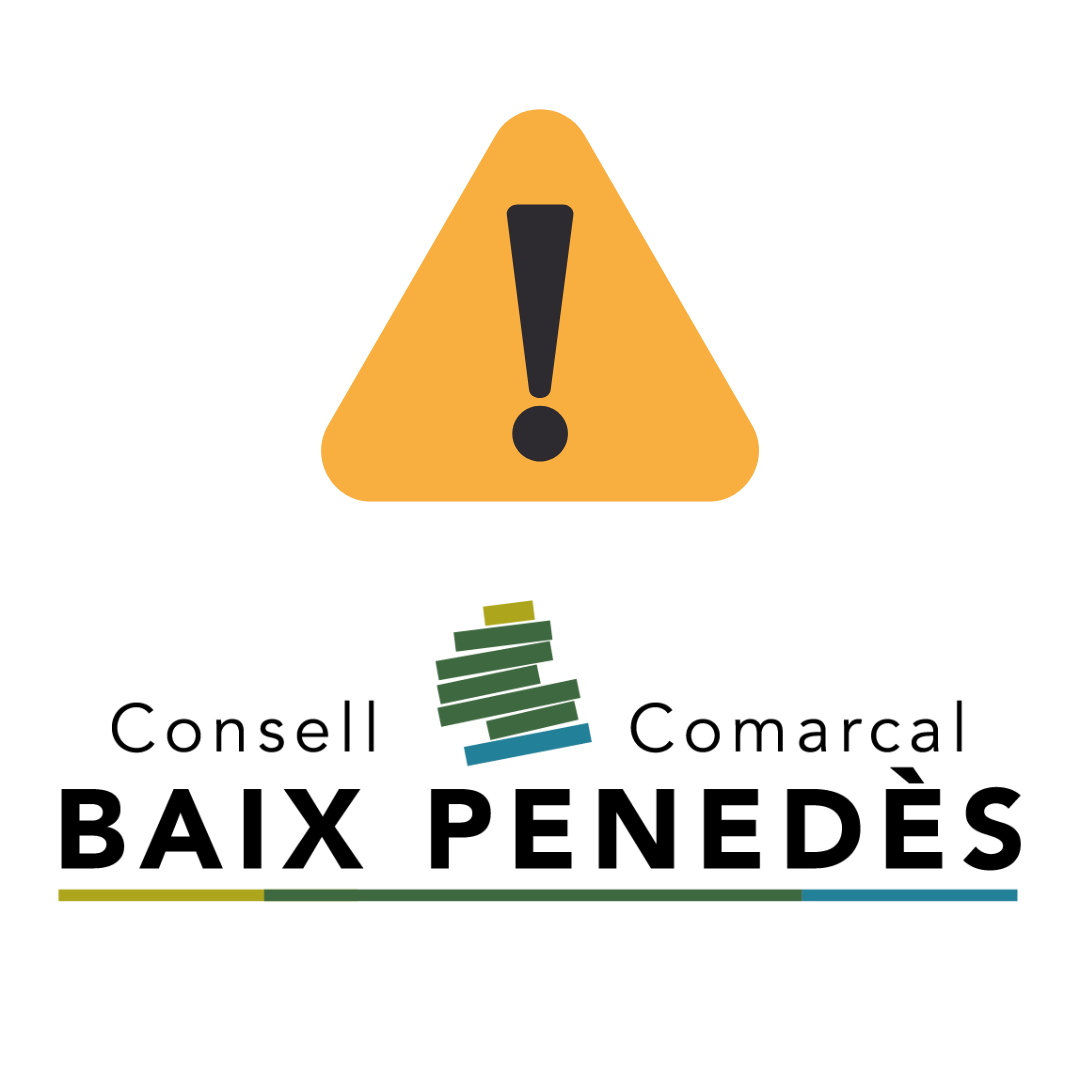 Afectacions per pluja intensa