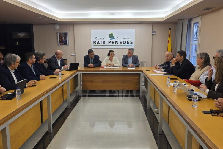 Consell d'Alcaldes amb Alícia Romero