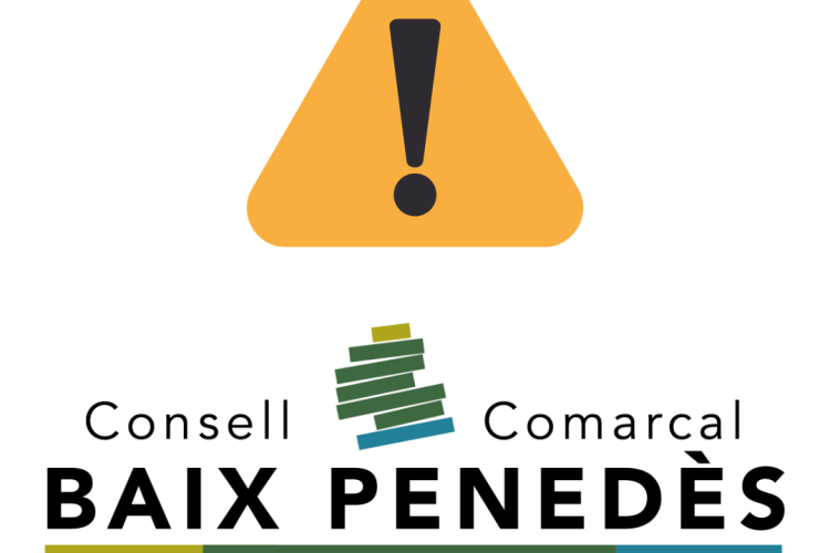 Afectacions per pluja intensa