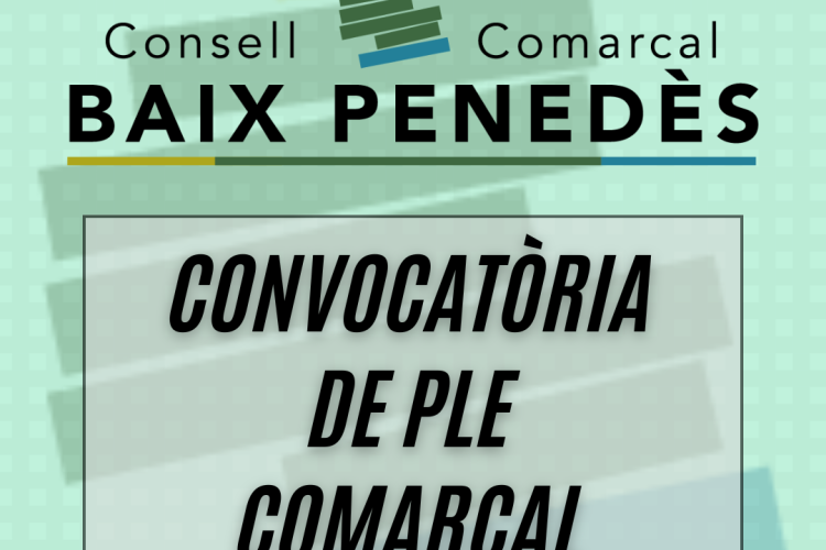 Ple Comarcal