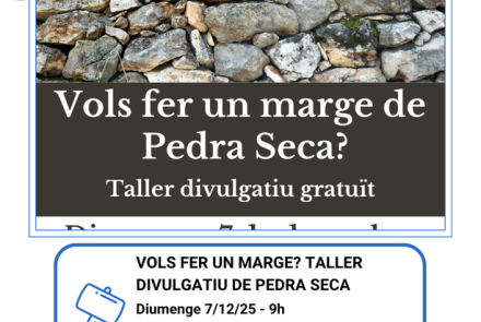 pedra seca