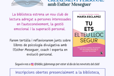 Cartell de l'activitat
