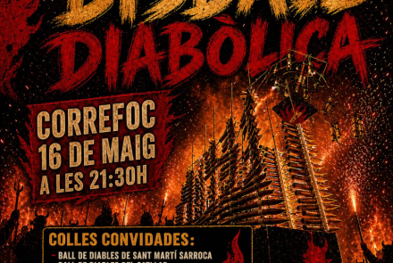 Cartell de l'activitat