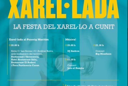 Cartell de l'activitat