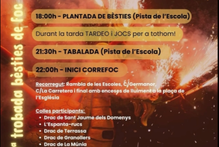 Cartell de l'activitat
