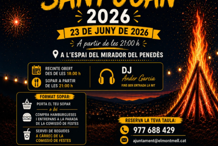 Cartell de l'activitat