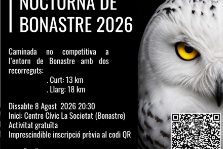 Cartell de l'activitat