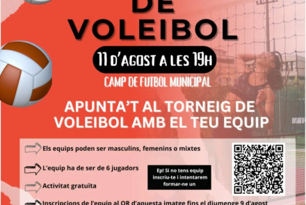 Cartell de l'activitat