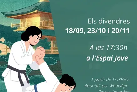 Cartell de l'activitat