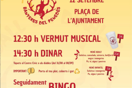 Cartell de l'activitat
