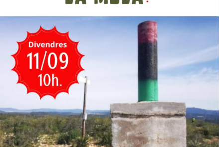 Cartell de l'activitat