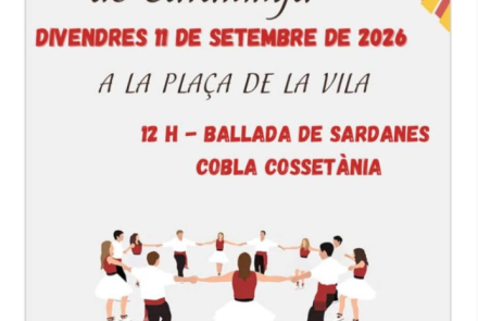 Cartell de l'activitat