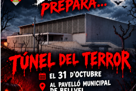 Cartell de l'activitat