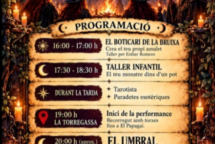 Cartell de l'activitat