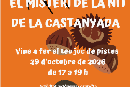 Cartell de l'activitat