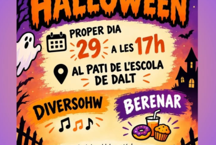 Cartell de l'activitat