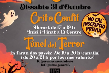 Cartell de l'activitat