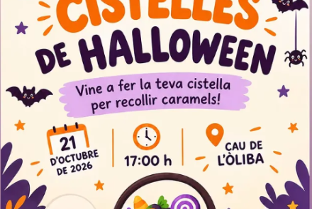 Cartell de l'activitat