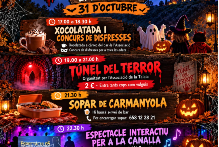 Cartell de l'activitat