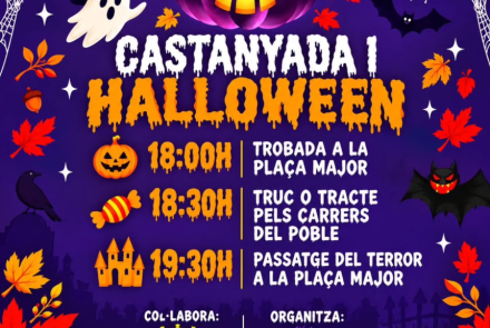 Cartell de l'activitat
