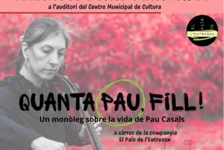 Cartell de l'activitat