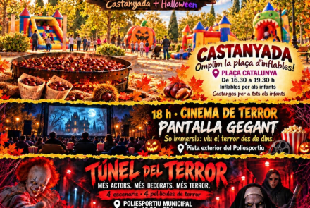 Cartell de l'activitat
