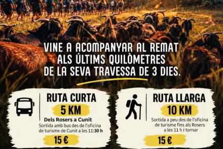 Cartell de l'activitat
