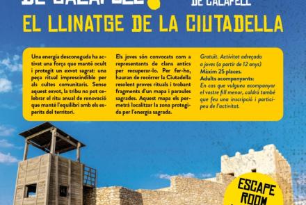 Cartell de l'activitat