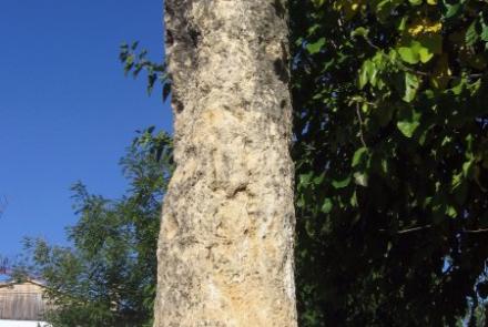 Imatge del Mil·liari romà