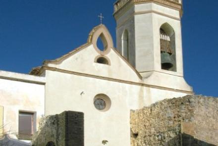 Imatge de la Joncosa del Montmell