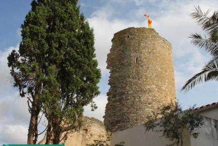 Web de la torre del Lletger