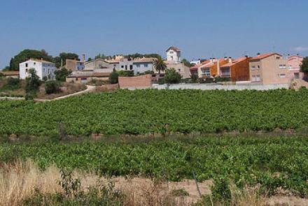 Imatge de Saifores, Banyeres del Penedès