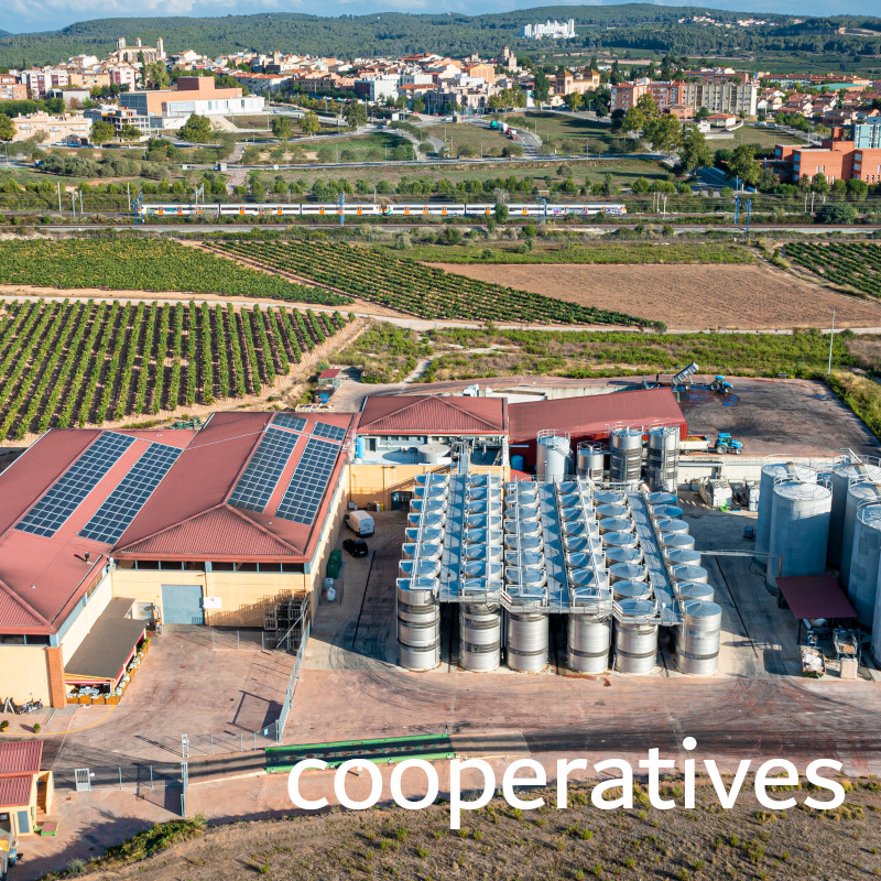 cooperatives