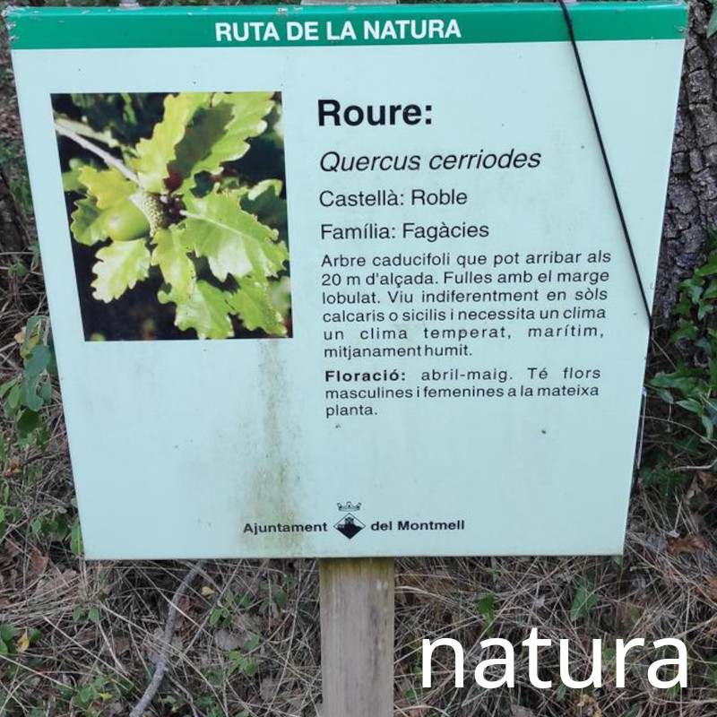 natura